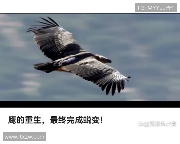 耐力与技巧的较量：杭州羽毛球队的训练与挑战之路